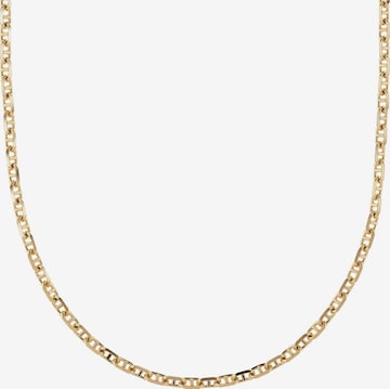 ESPRIT Kette in Gold: Vorderseite