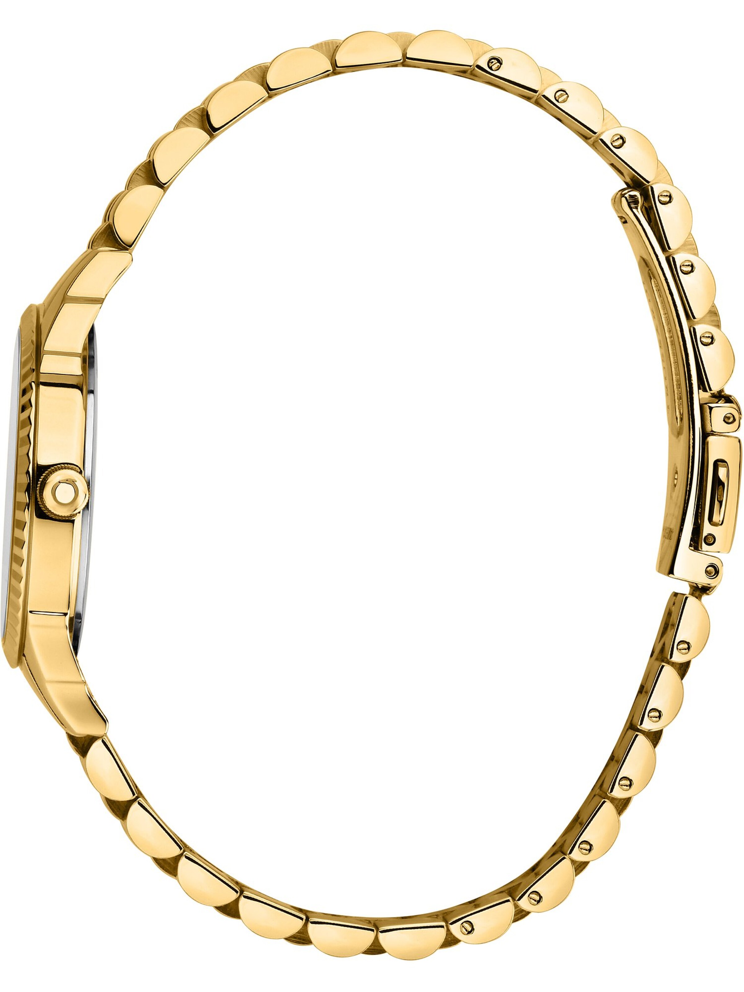 Trussardi Analog Watch in Gold