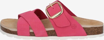 ROHDE Mules in Pink