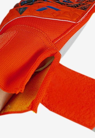 REUSCH Athletic Gloves 'Attrakt Starter Solid' in Blue