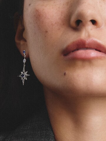 Thomas Sabo Earrings in Silver: front