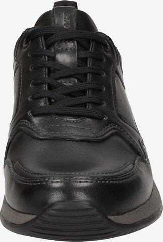 SIOUX Sneakers 'Rojaro' in Black