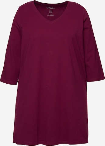 Ulla Popken Shirt in Lila: Vorderseite