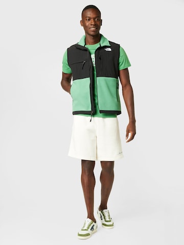 THE NORTH FACE Vest 'DENALI' in Green