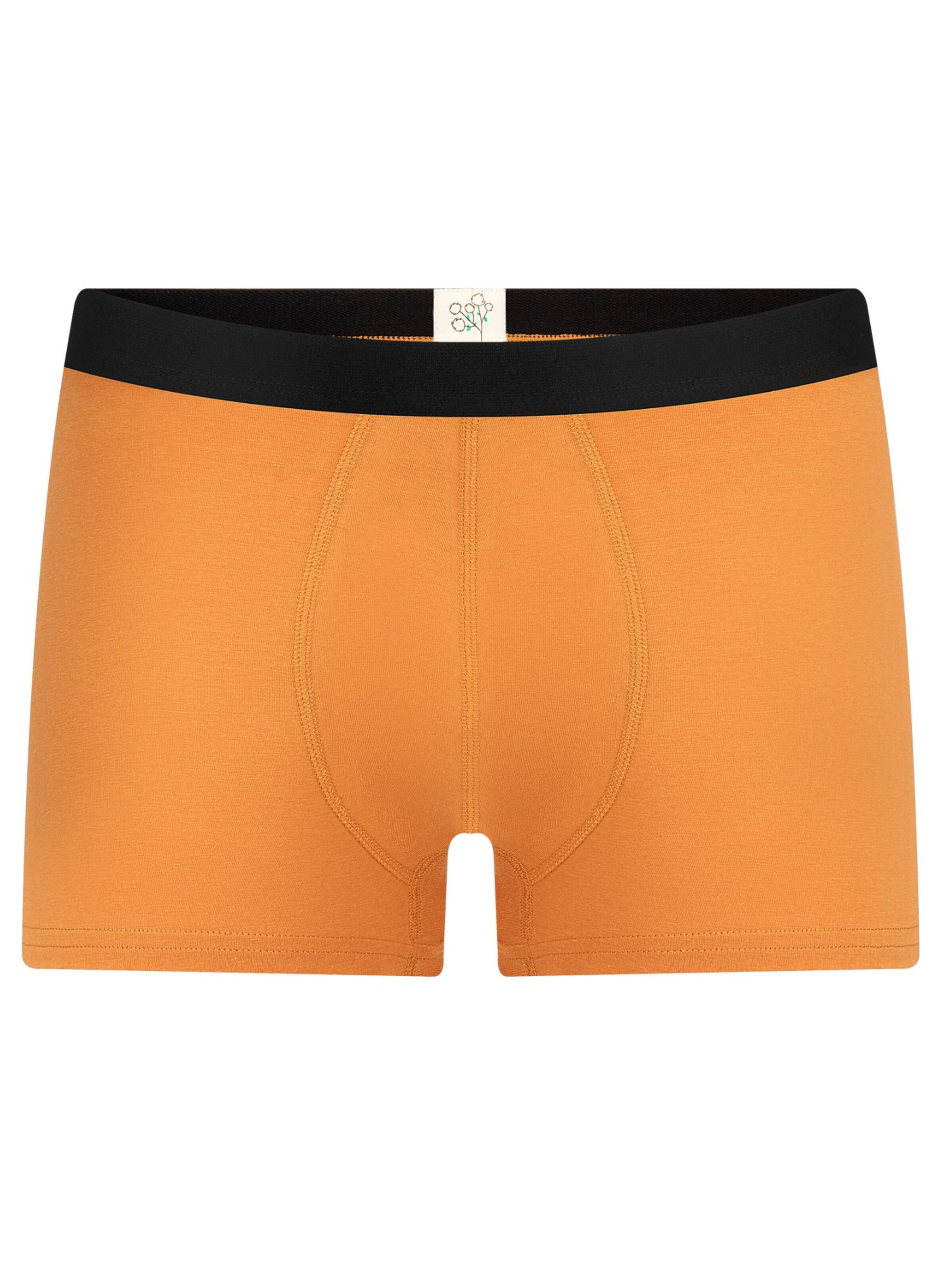 Albero Natur Boxer shorts 'Herren Trunkshorts aus Bio-Baumwolle' in Yellow: front