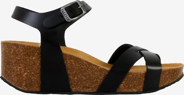 Sandalo di Plakton in nero: frontale