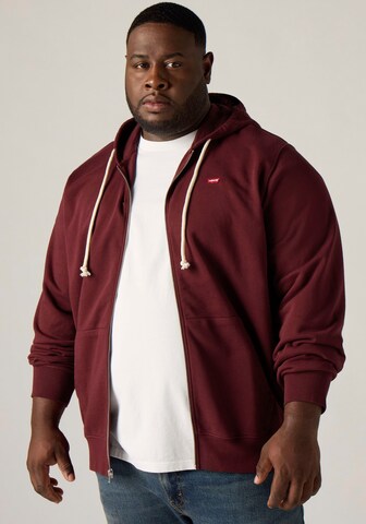 Levi's® Big & Tall Sweatshirt in Red