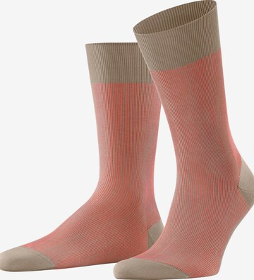FALKE Socks 'Fine Shadow' in Beige: front