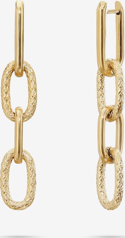 Guido Maria Kretschmer Jewellery Earrings in Gold