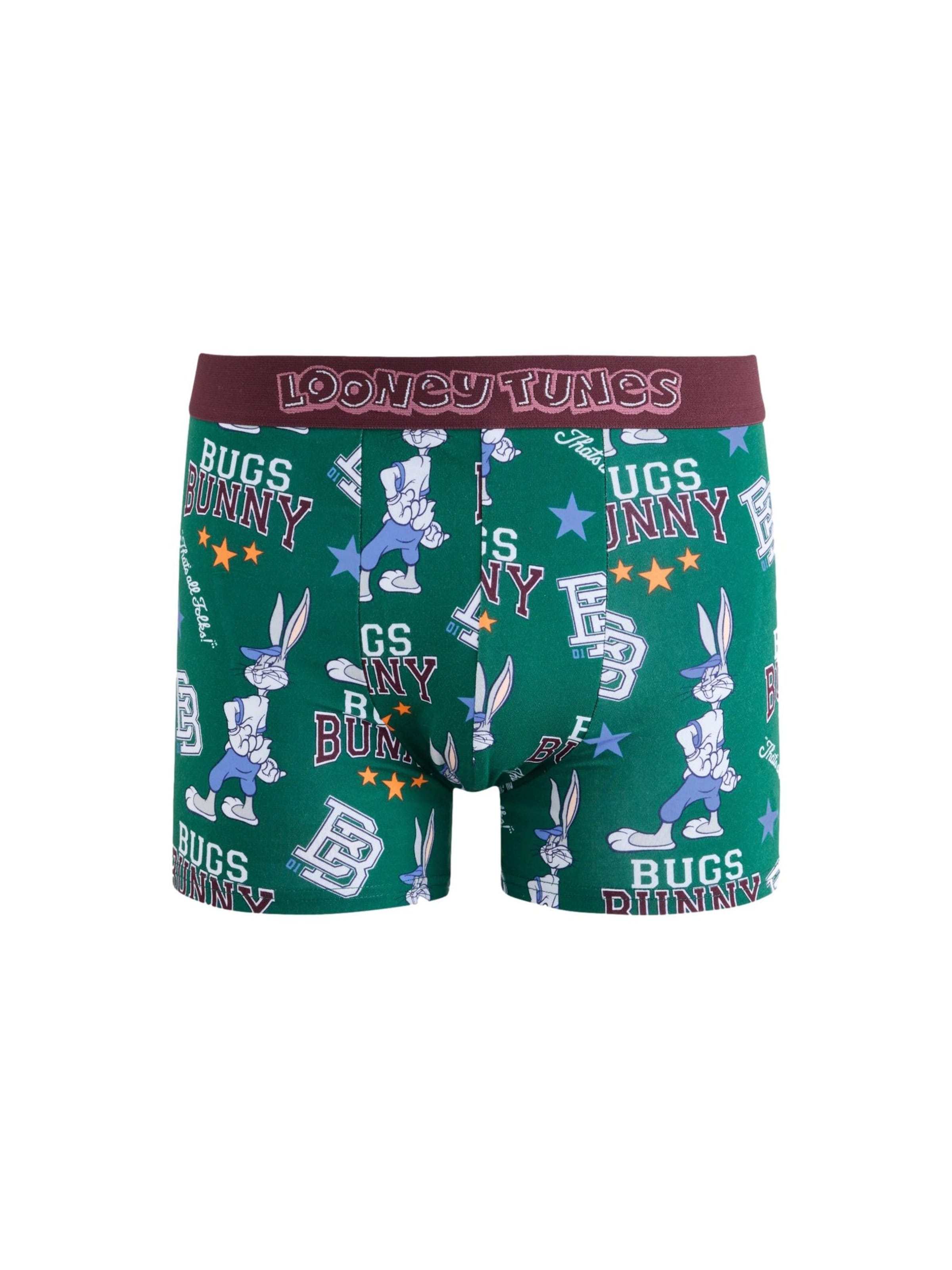 Next Boxershorts in XXXL in de kleur Groen / Wit, Productweergave