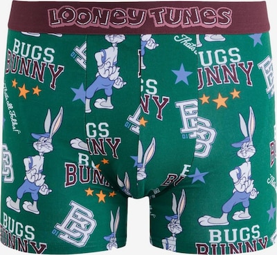 Next Boxer shorts in XXXL in Green / White, Item view