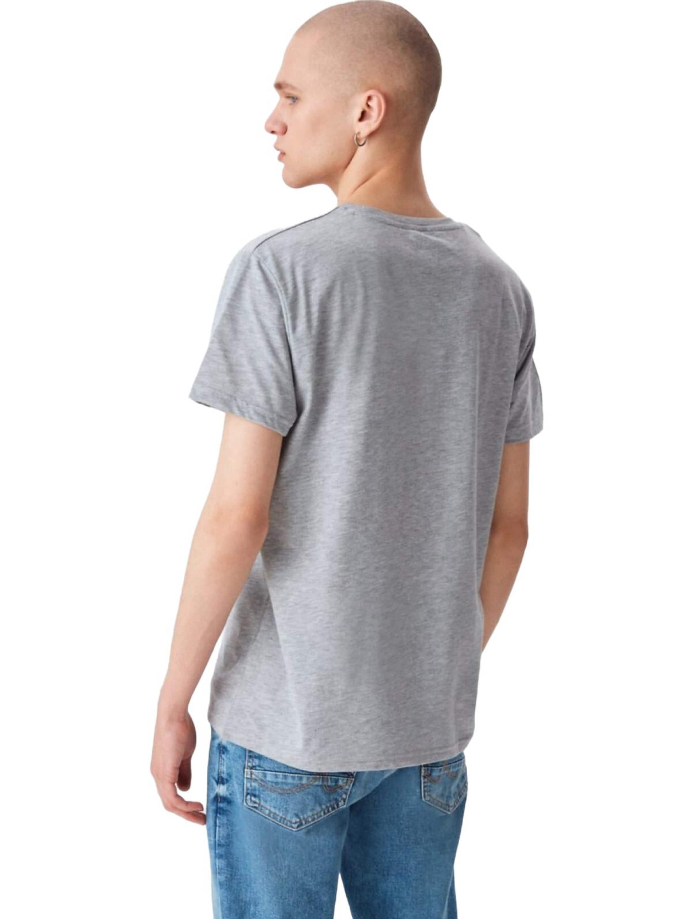 LTB Jeans - Camiseta 'LTB Jeans Herren Basic T-Shirt' en gris