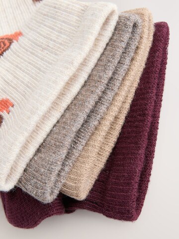 Next Socken in Mischfarben