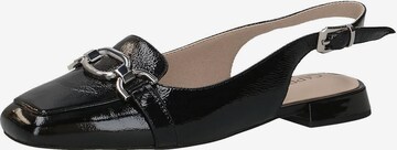 CAPRICE Slingback Pumps in Black: front