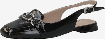 CAPRICE Slingback Pumps in Black: front