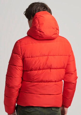Superdry Зимняя куртка в Оранжевый