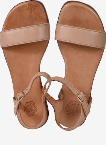 Apple of Eden Strap Sandals 'ISA' in Beige