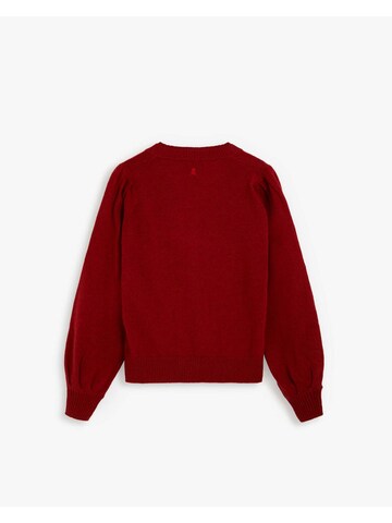 Pullover di Scalpers in rosso: dietro