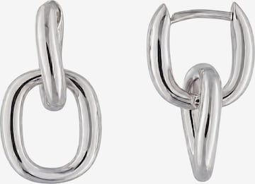 Jobo Earrings in Silver: front