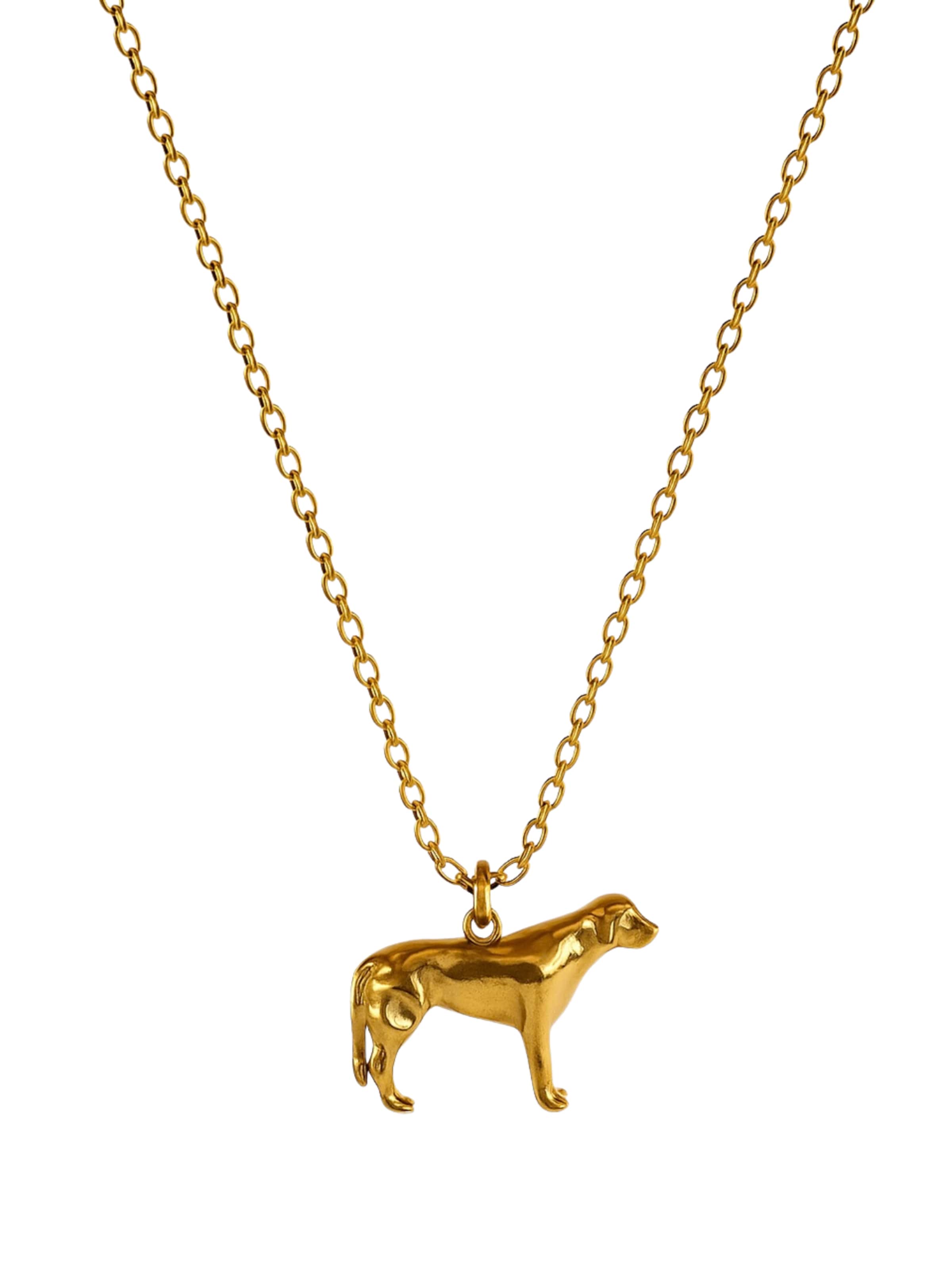BEACH TO THE CITY Necklace 'Golden Retriever' in Gold: front