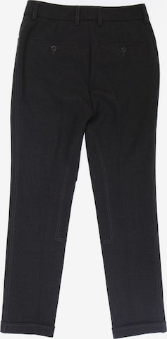 cappellini Pants in S in Grey