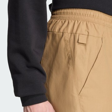 ADIDAS TERREX Regular Sportbroek 'Multi' in Bruin