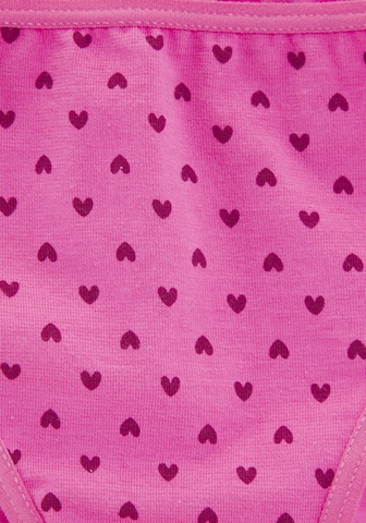 PETITE FLEUR Underpants in Purple: front
