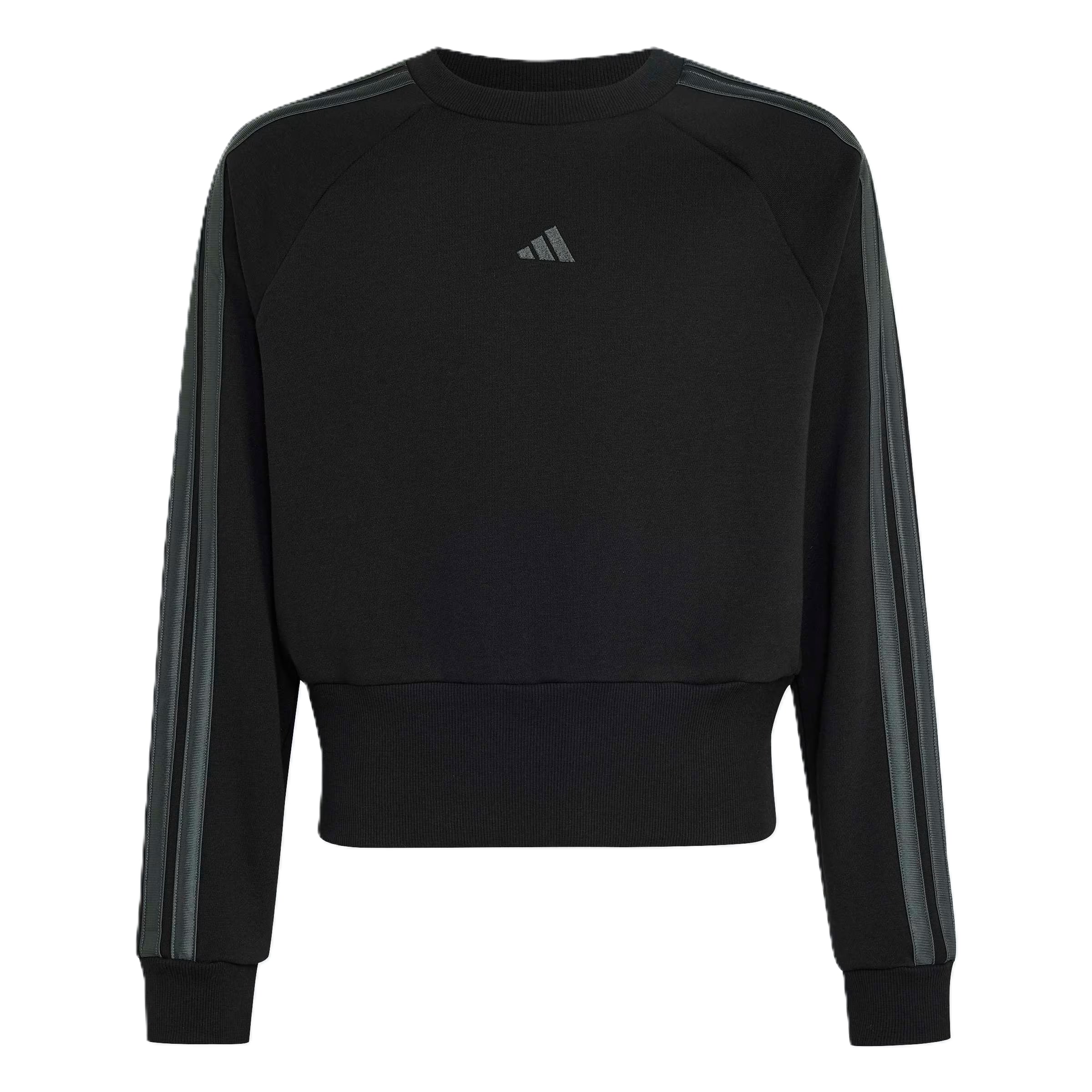ADIDAS SPORTSWEAR Sportsweatshirt in Schwarz: Vorderseite