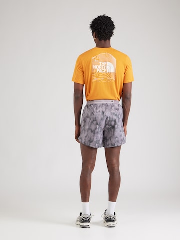 Regular Pantalon de sport 'SUNRISER' THE NORTH FACE en gris