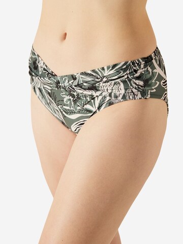 PentiBikini donji dio - miks boja boja