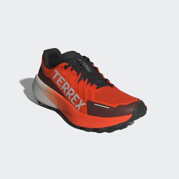 ADIDAS TERREX Обувь для бега 'Agravic 3' в Оранжевый