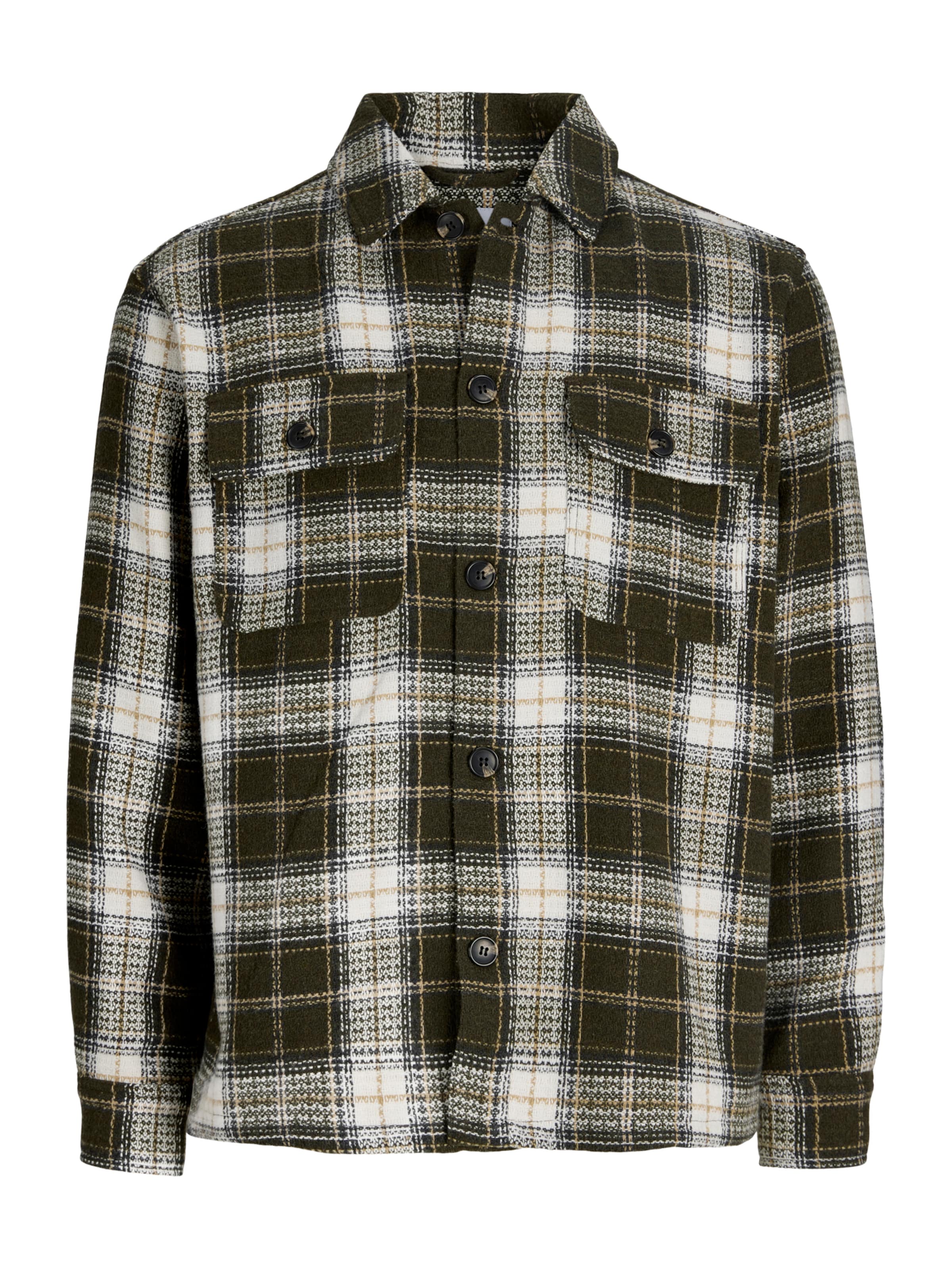 JACK & JONES Hemd 'JJEREGENT' in Grün: Vorderseite