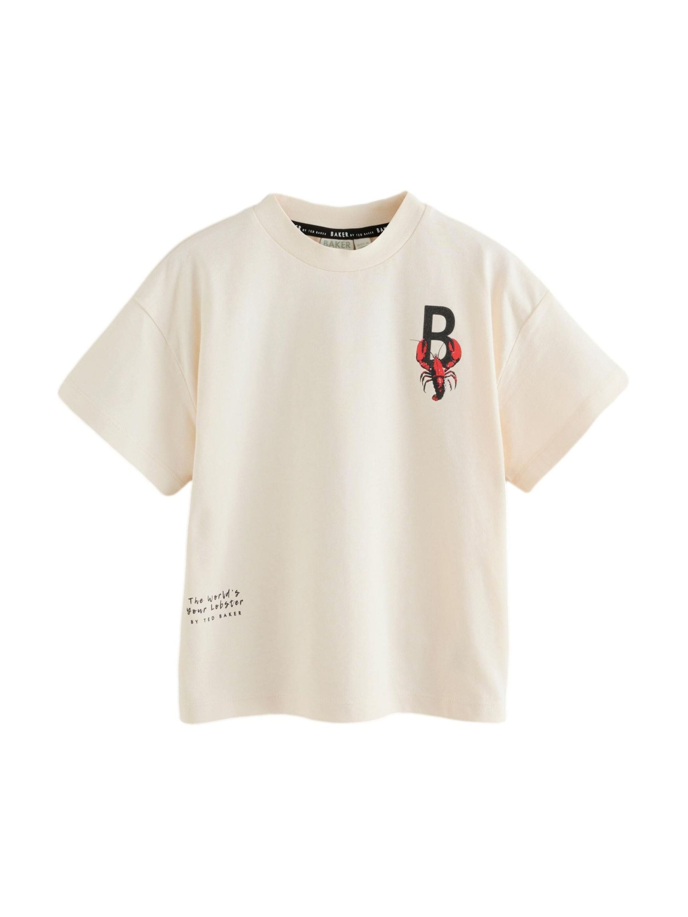 Baker by Ted Baker Футболка в Серый: спереди