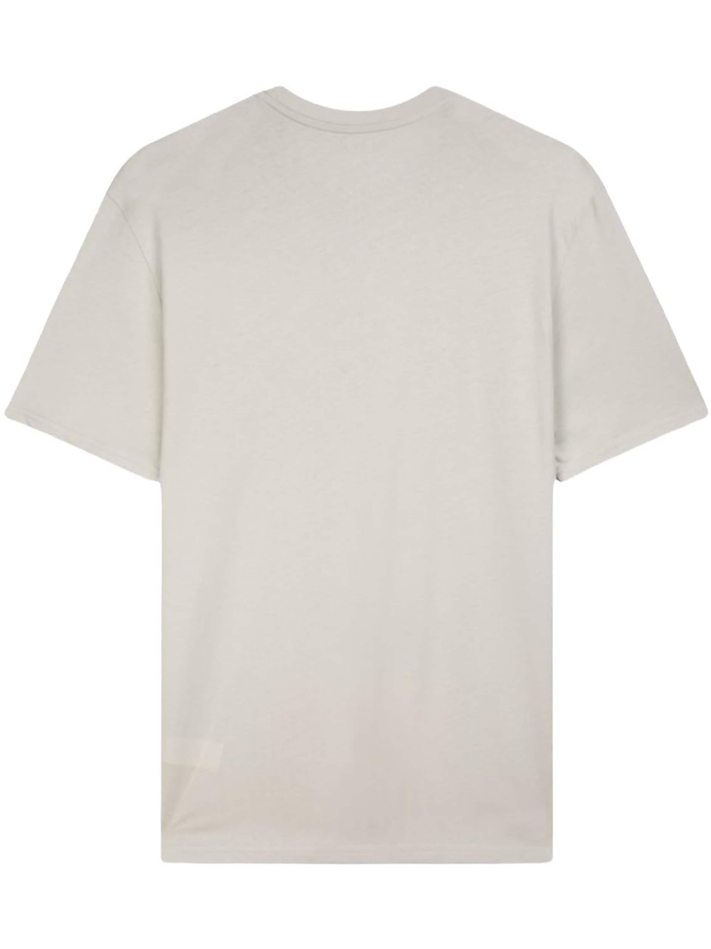 LTB Jeans Shirt 'LTB Jeans Herren-T-Shirt mit minimalistischem Print' in Grey