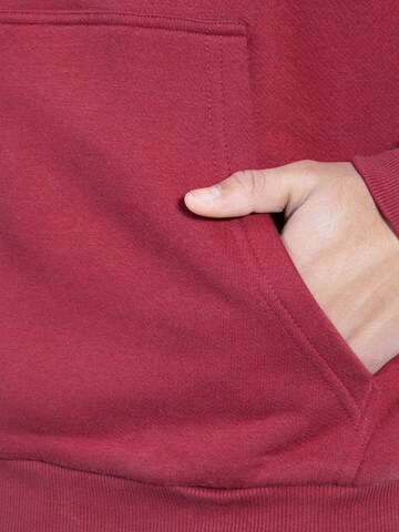 Smilodox Sweatshirt Finley' in Rot