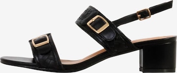 POTI PATI Sandaal 'Supermodische Sandalen mit Absatz' in Zwart: voorkant