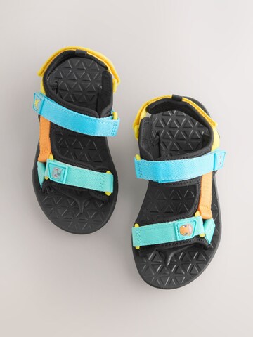 Calzatura aperta 'Pokemon' di Next in blu