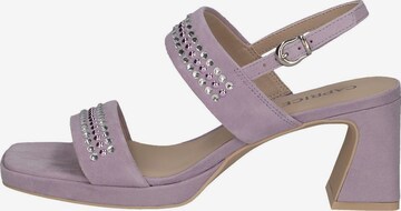 Sandales CAPRICE en violet