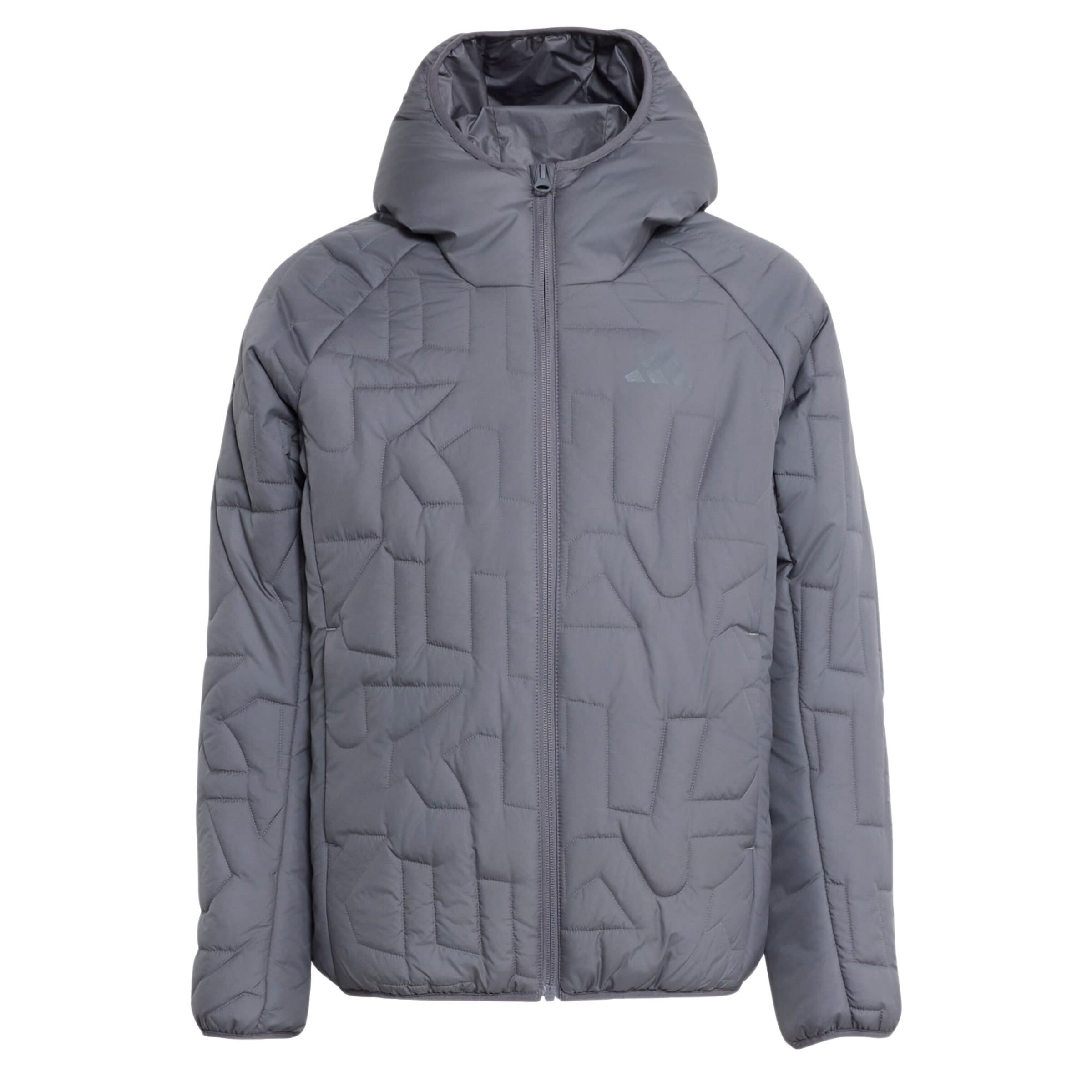 ADIDAS TERREX Outdoorjas 'Xperior' in Grijs: voorkant