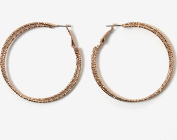 COLLEZIONE ALESSANDRO Earrings 'Aili' in Gold: front