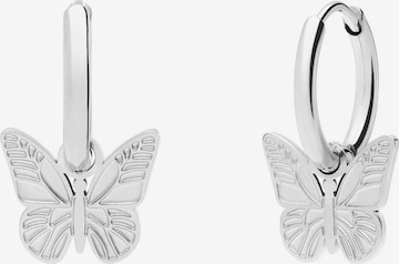 Lucardi Earrings in Silver: front