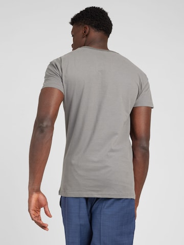 Derbe Shirt 'Sturmmöwe' in Grey