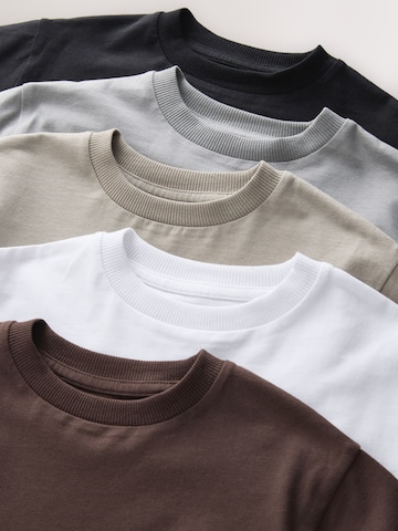 Next Shirt in Mischfarben