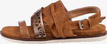 Laufsteg München Sandals in Brown: front