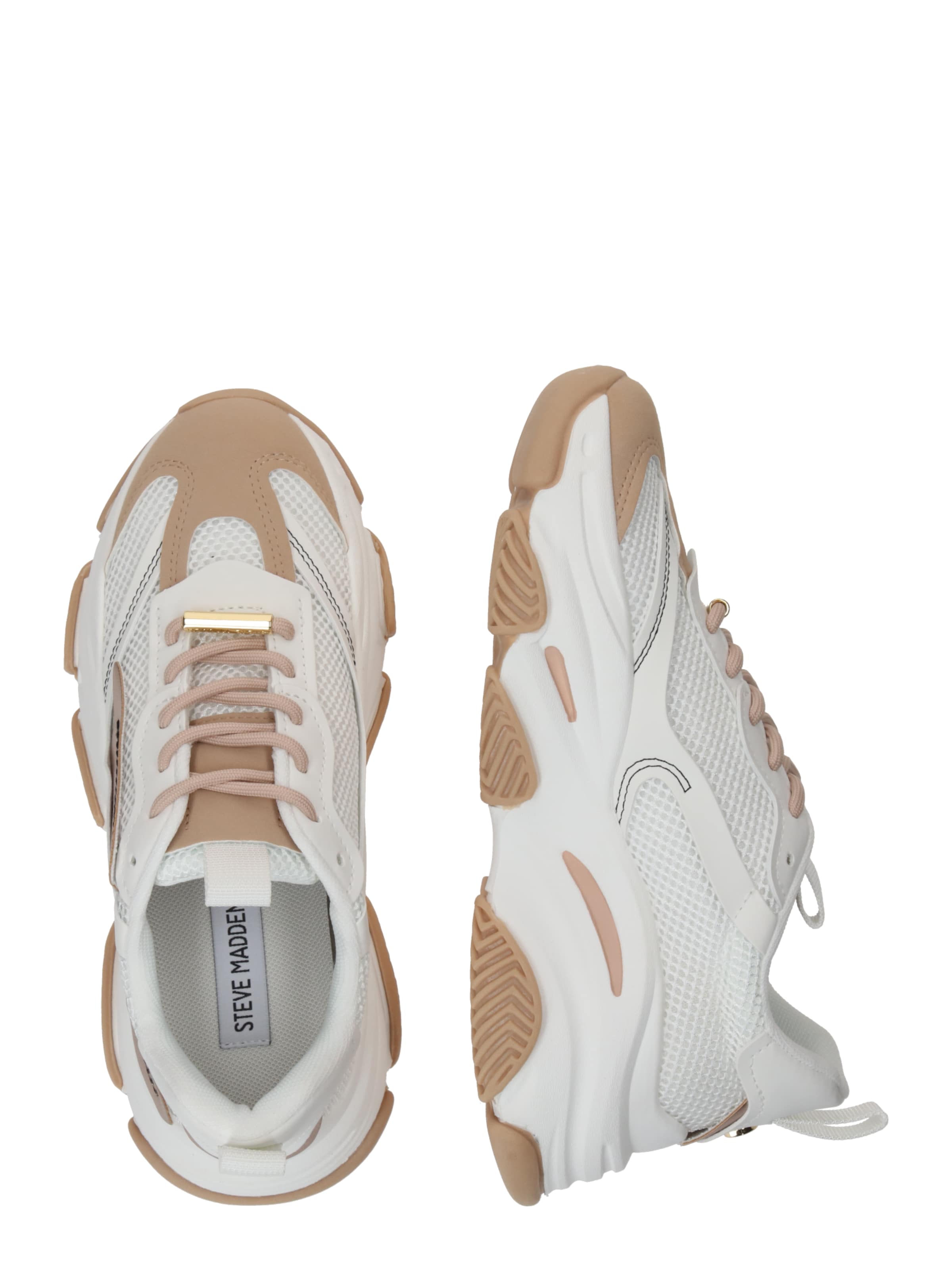 STEVE MADDEN Nizke superge 'Possession' | bež barva