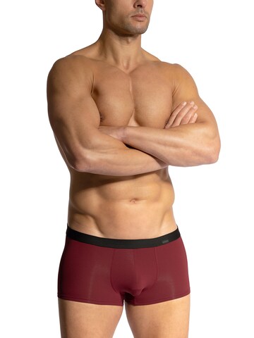Olaf Benz Boxershorts ' RED2408 Minipants ' in Rood: voorkant