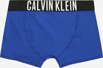 Calvin Klein Underwear Regular Boxershorts 'Intense Power' in Blau