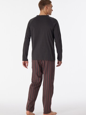SCHIESSER Long Pajamas ' Selected Premium ' in Grey