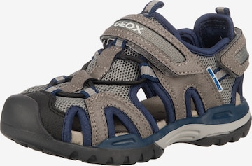 GEOX Sandals & Slippers in Grey: front
