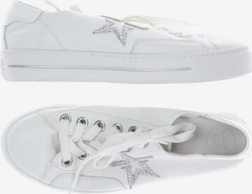 Paul Green Sneakers & Trainers in 36 in White: front